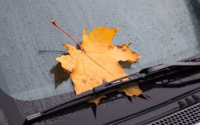 7 cosas que debes revisar en tu coche después del verano